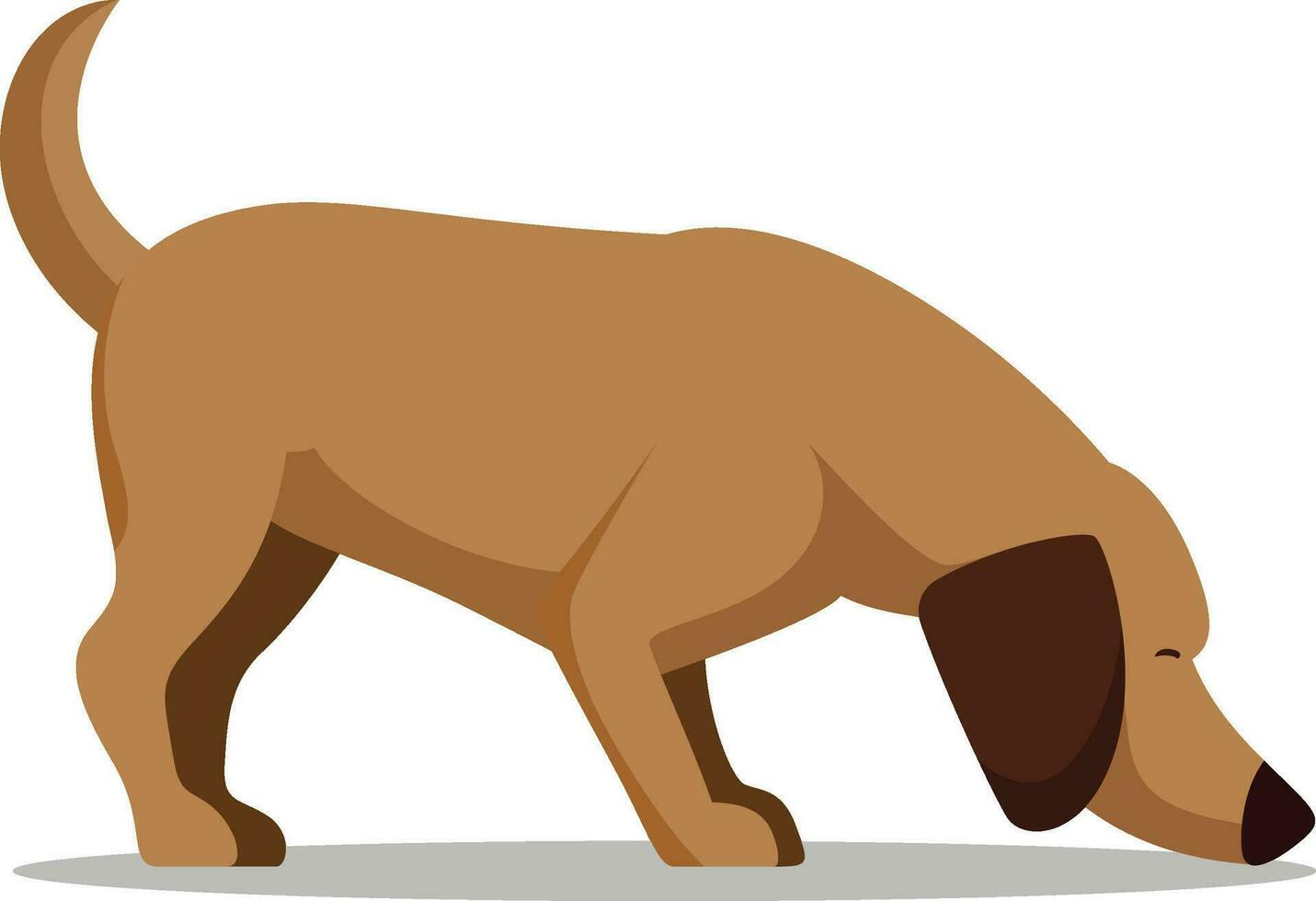 WikiSniff Logo